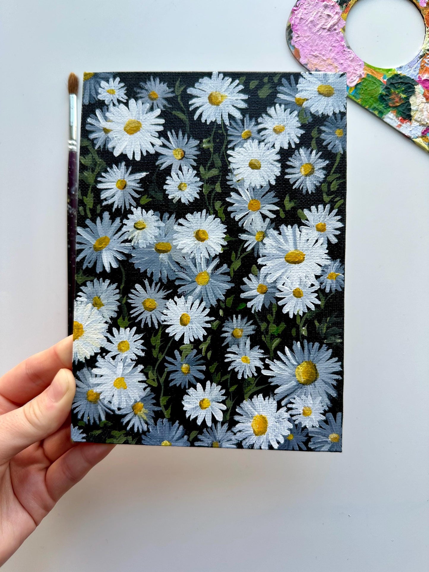 Field of Daisies - 5x7” Original Hand-Painted Floral Artwork on Canvas Board