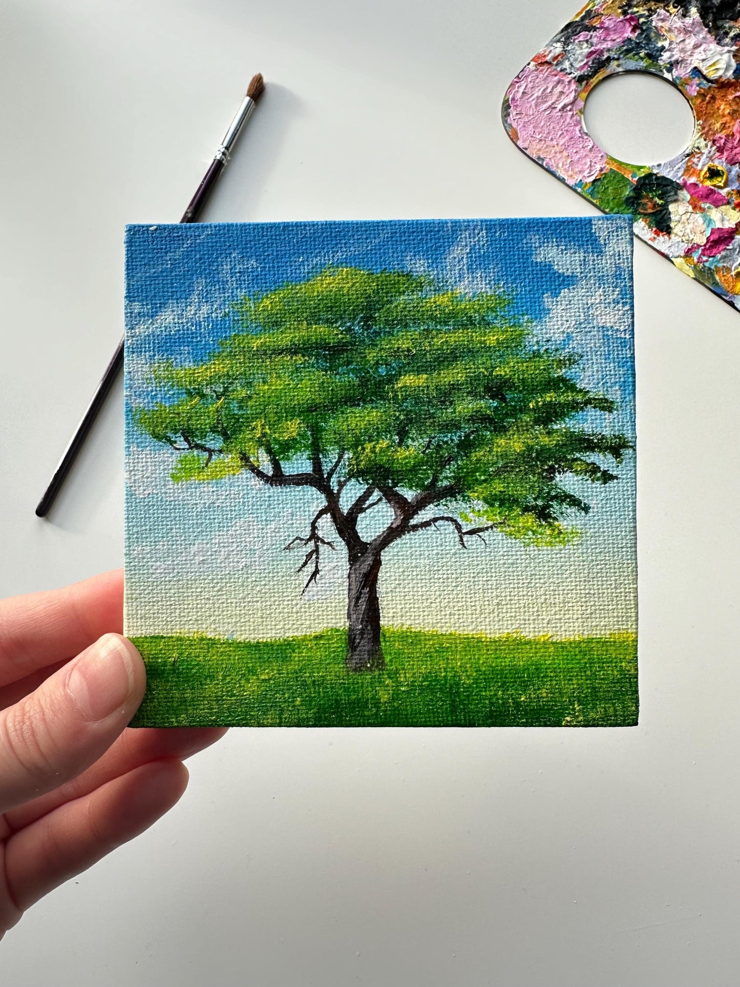 Original Acrylic Tree Painting: Small Nature Landscape Art (4x4 inch)