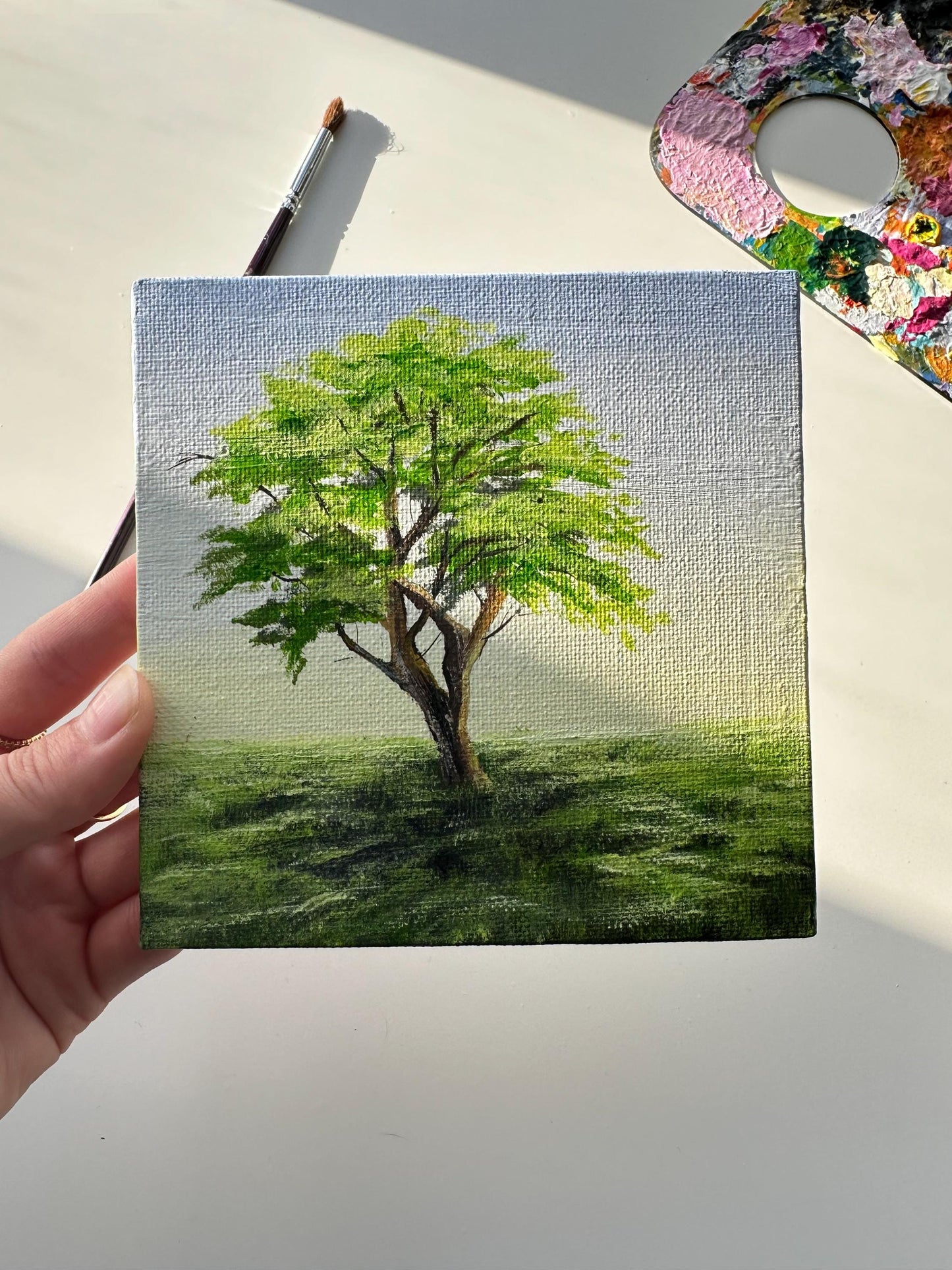 Original Tree Acrylic Painting: Minimalist Landscape Art (5x5)
