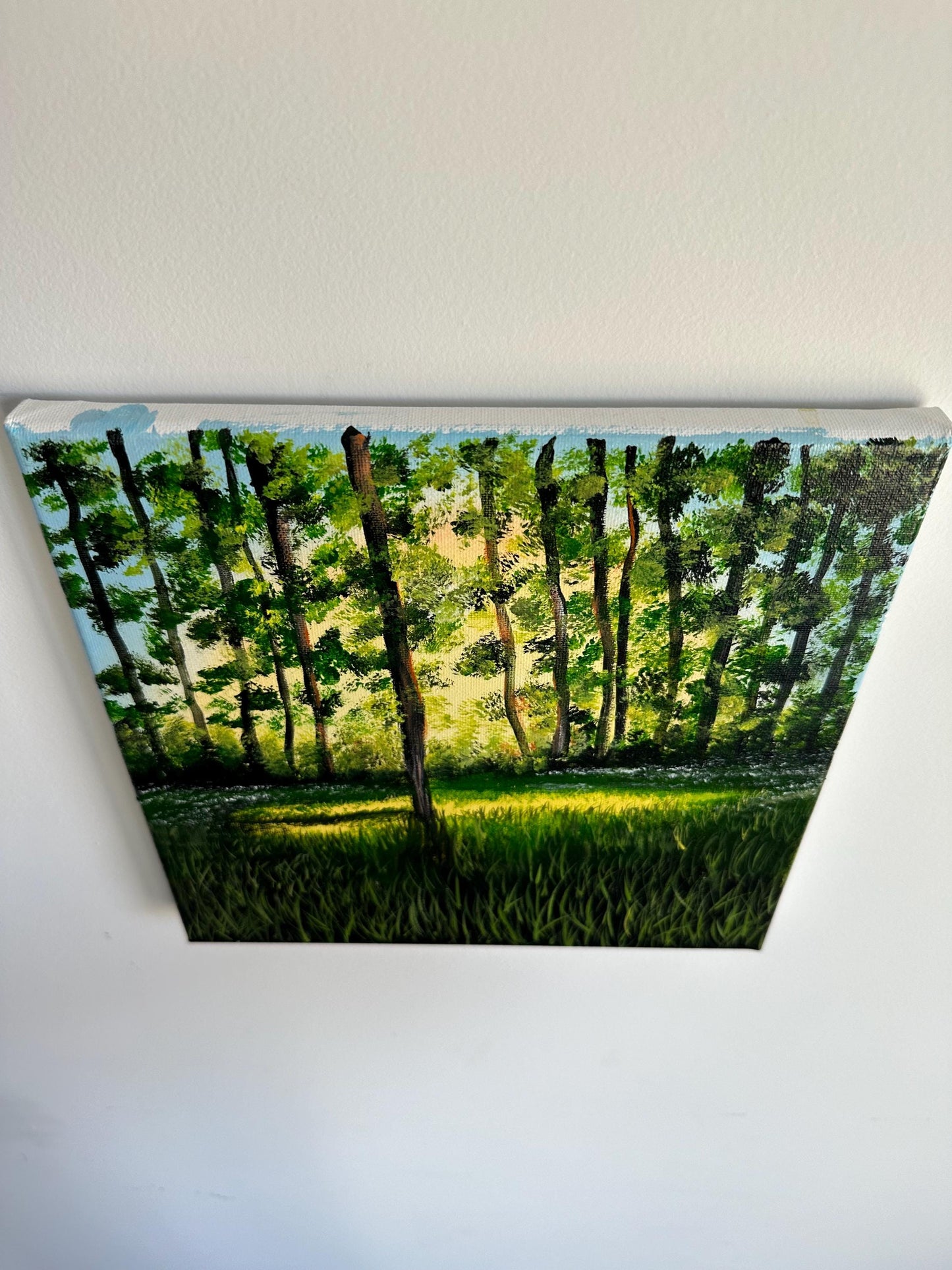 10" x 10" Original Acrylic Painting on Canvas: Serene Forest Glow | Landscape Nature Artwork