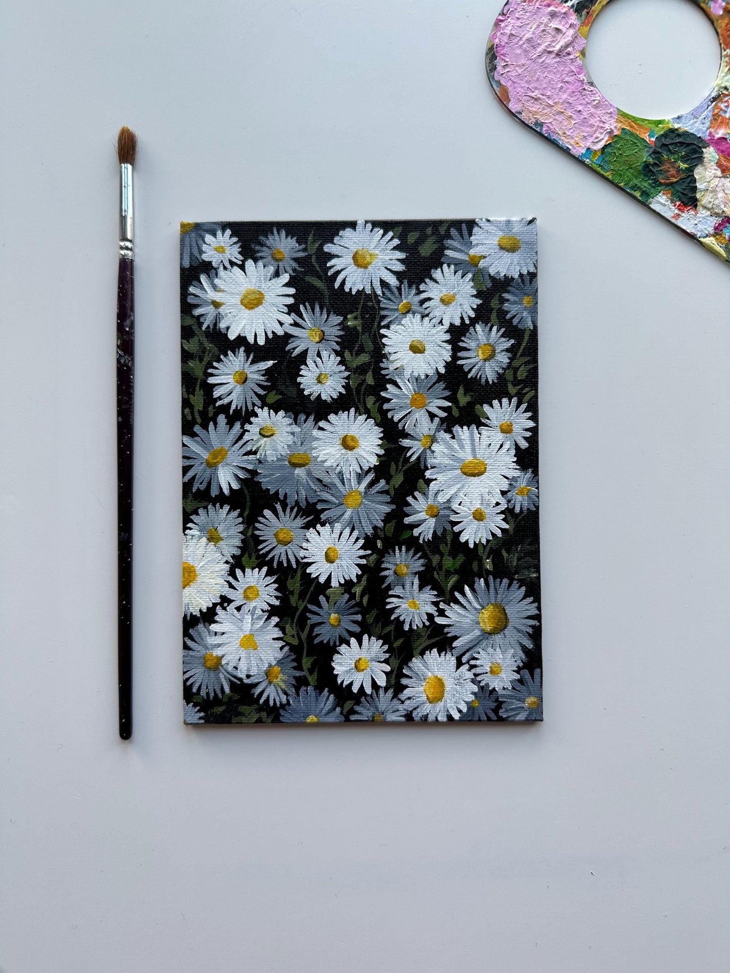 Daises acrylic painting on 5”x7” canvas board by ab mini art. Daises field with titanium white and black color. Traditional painting for home decor and wall art. Original artworks for gifts.