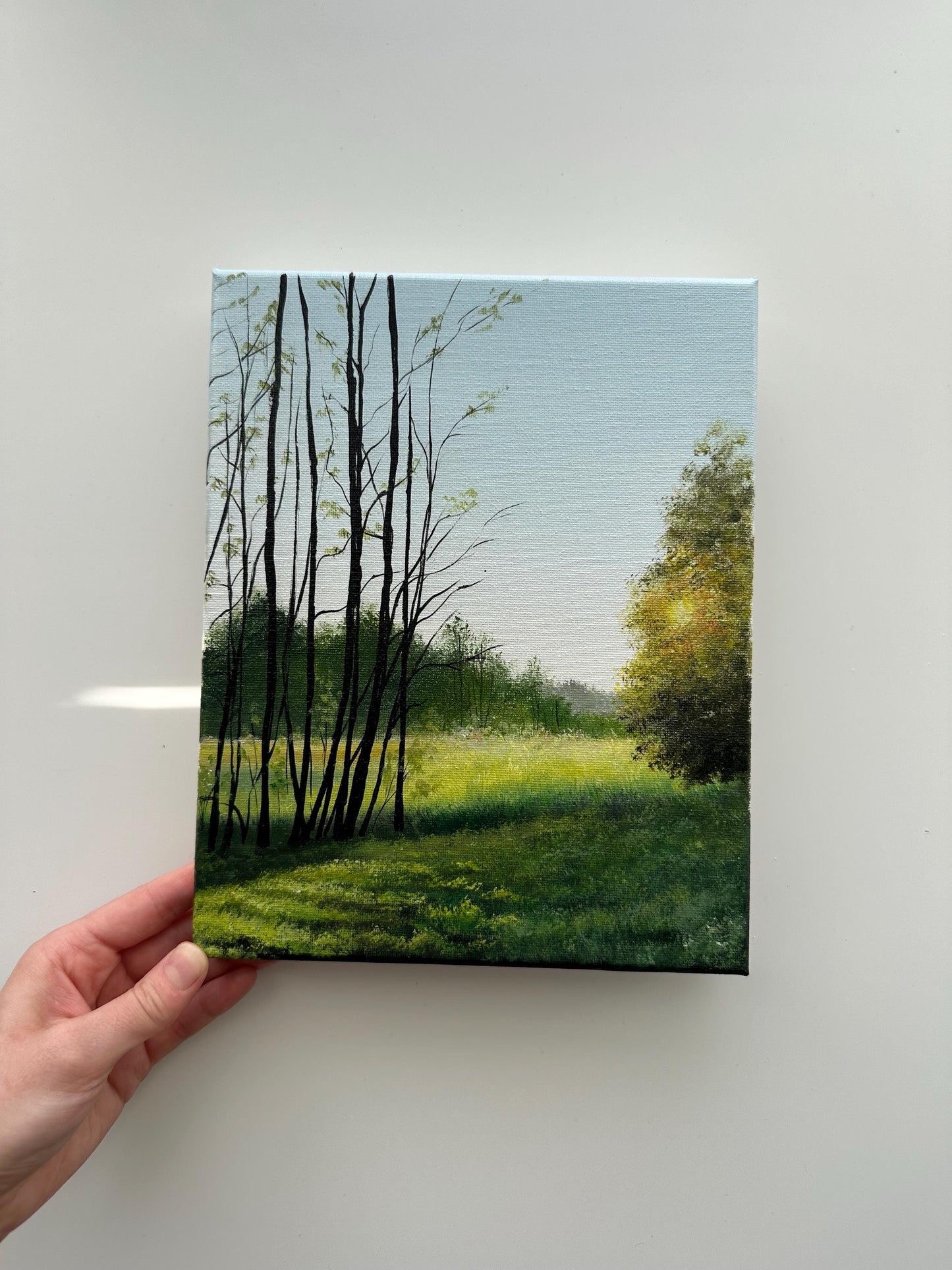 Golden Light Through the Trees – Original Acrylic Painting, 8×10 inch on Canvas