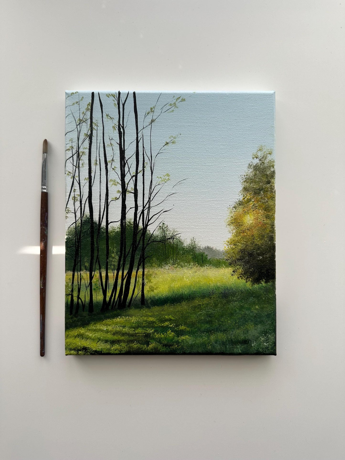 Golden Light Through the Trees – Original Acrylic Painting, 8×10 inch on Canvas