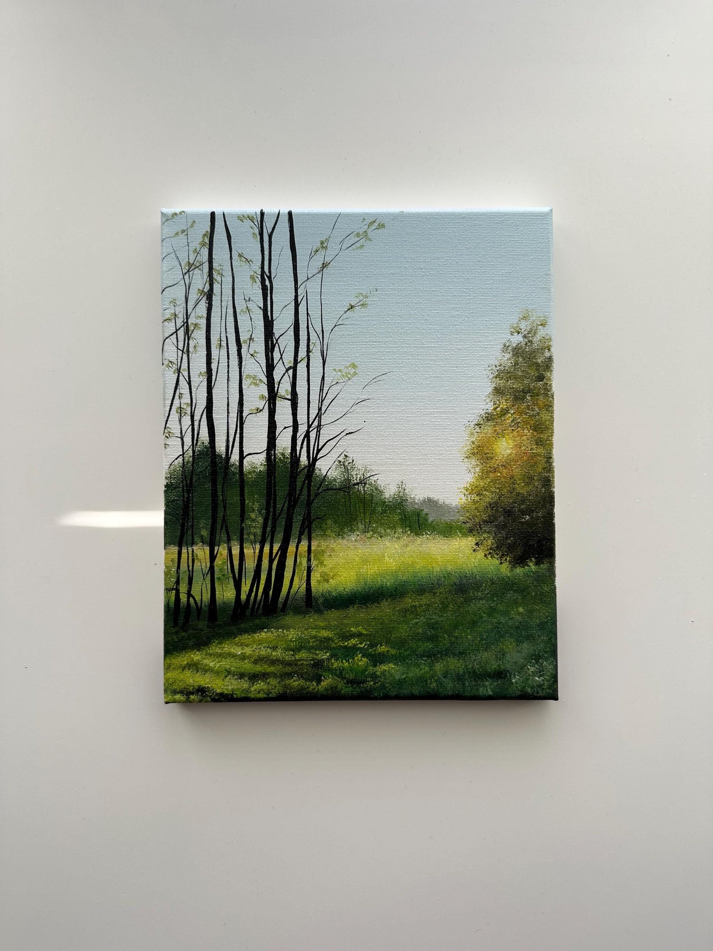 Golden Light Through the Trees – Original Acrylic Painting, 8×10 inch on Canvas
