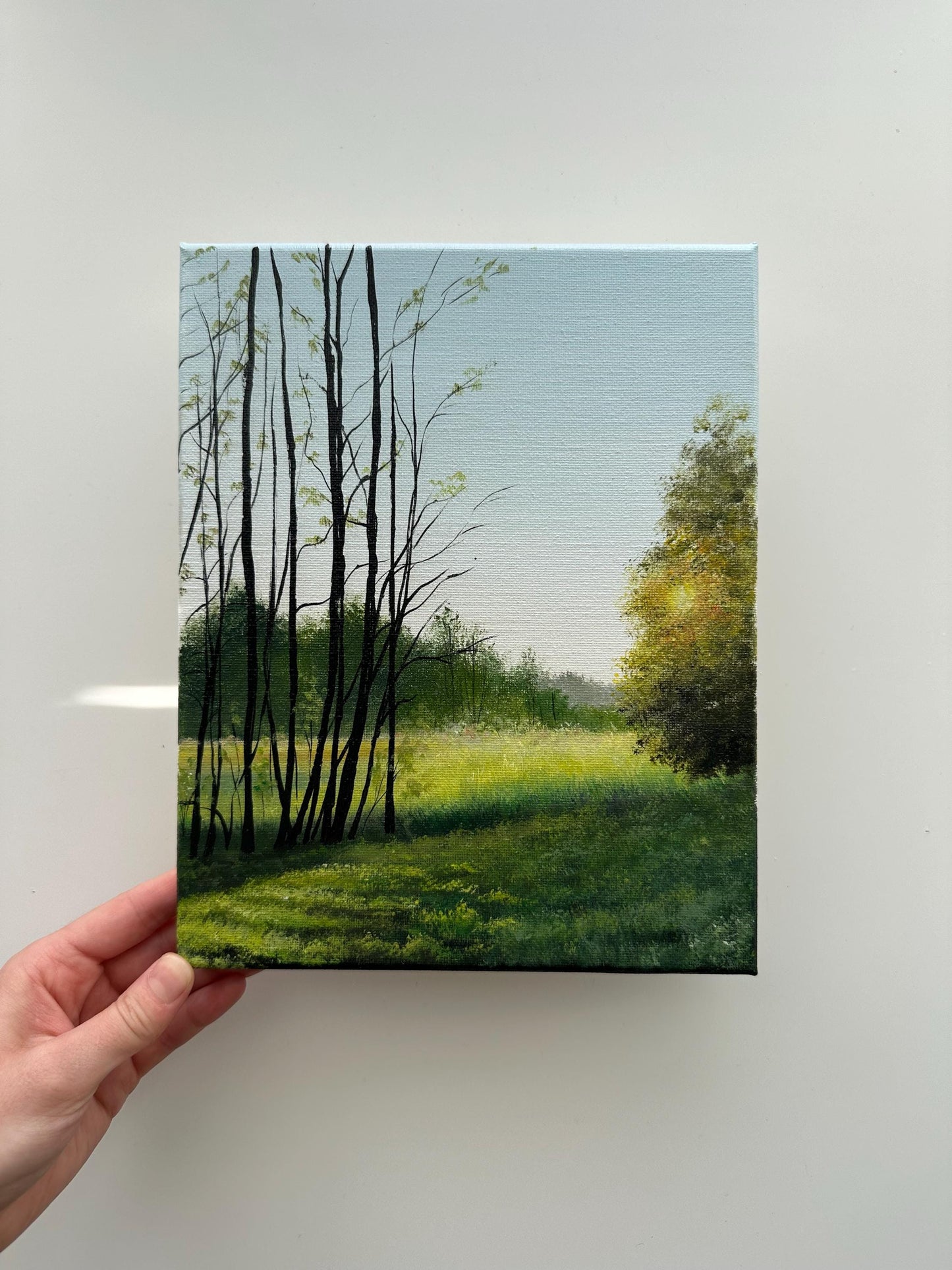 Golden Light Through the Trees – Original Acrylic Painting, 8×10 inch on Canvas