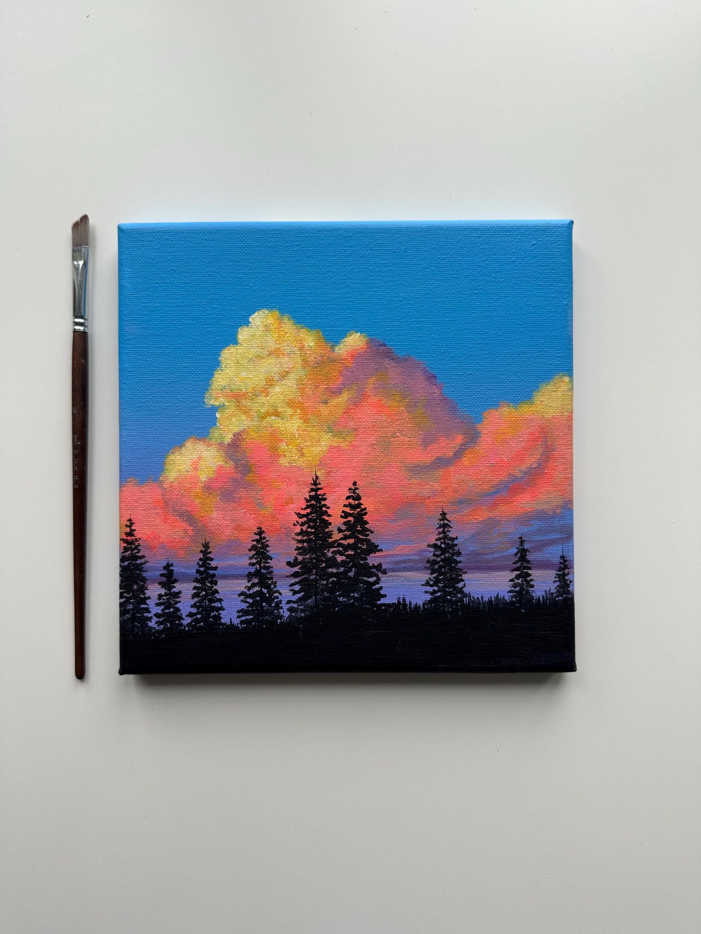 Sunset Clouds – 8x8 Acrylic Painting of Pine Trees and Colorful Sky
