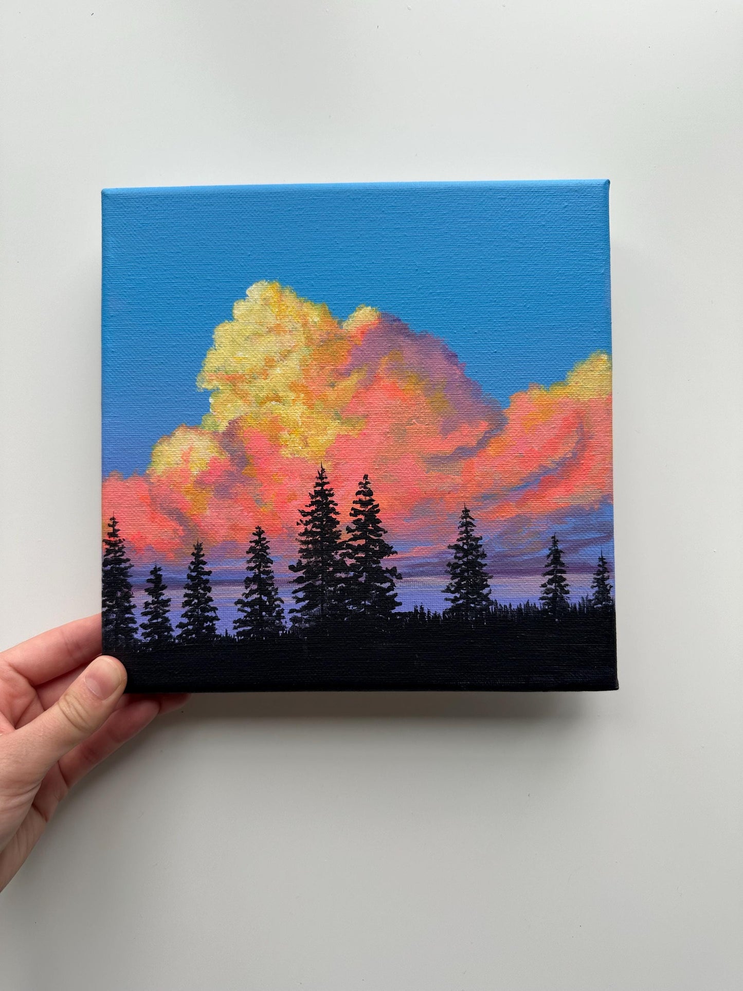 Sunset Clouds – 8x8 Acrylic Painting of Pine Trees and Colorful Sky