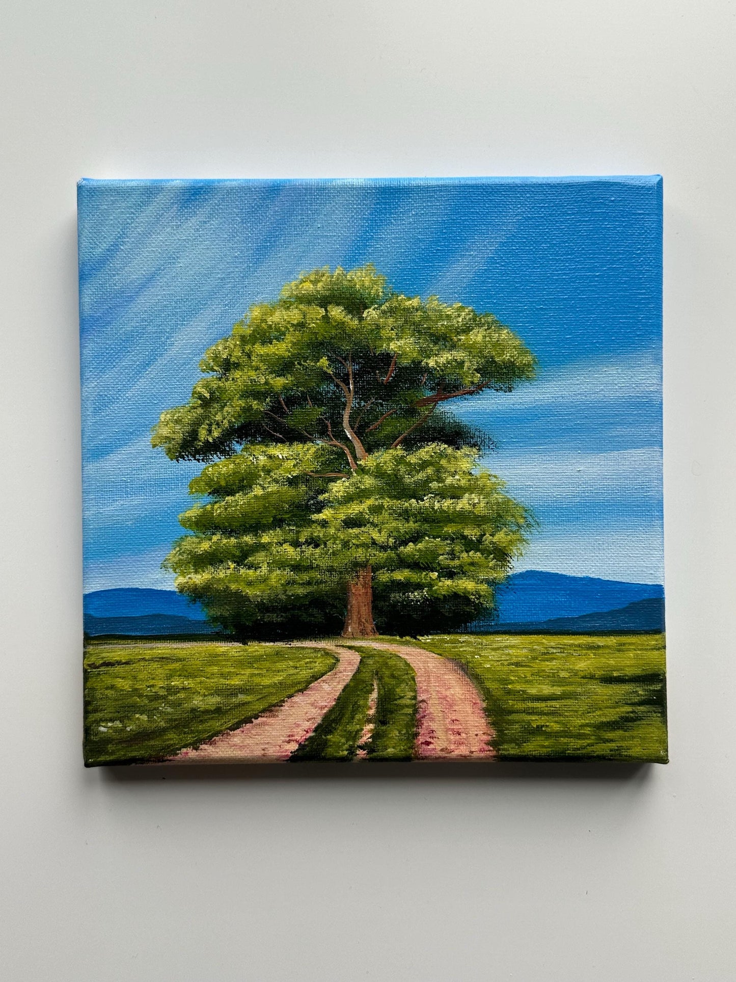 Oak Tree Acrylic Painting: Countryside Road, Original Art 8x8