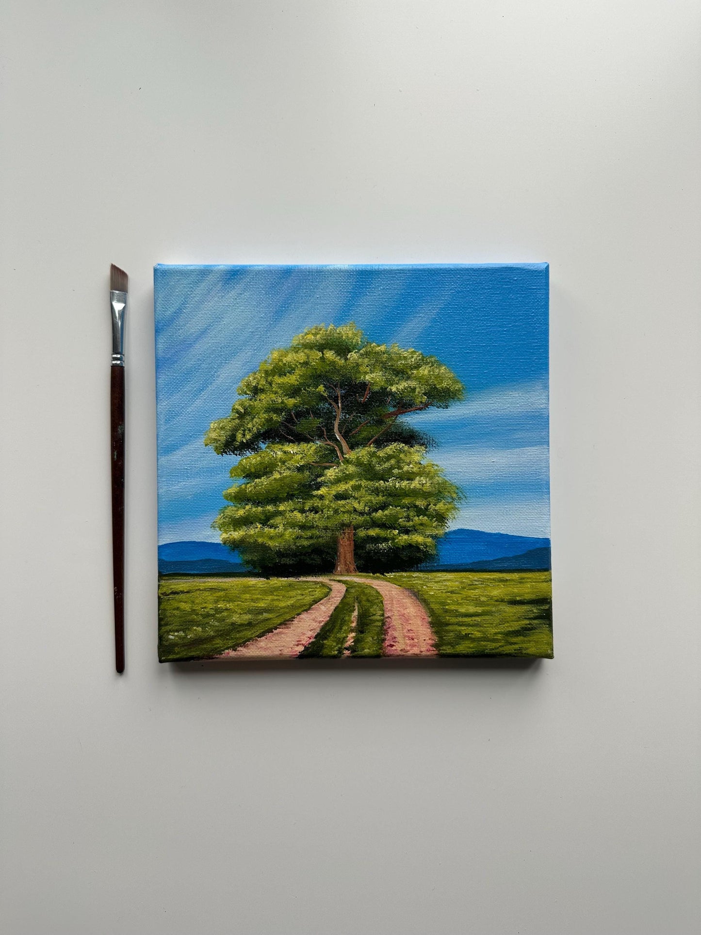 Oak Tree Acrylic Painting: Countryside Road, Original Art 8x8