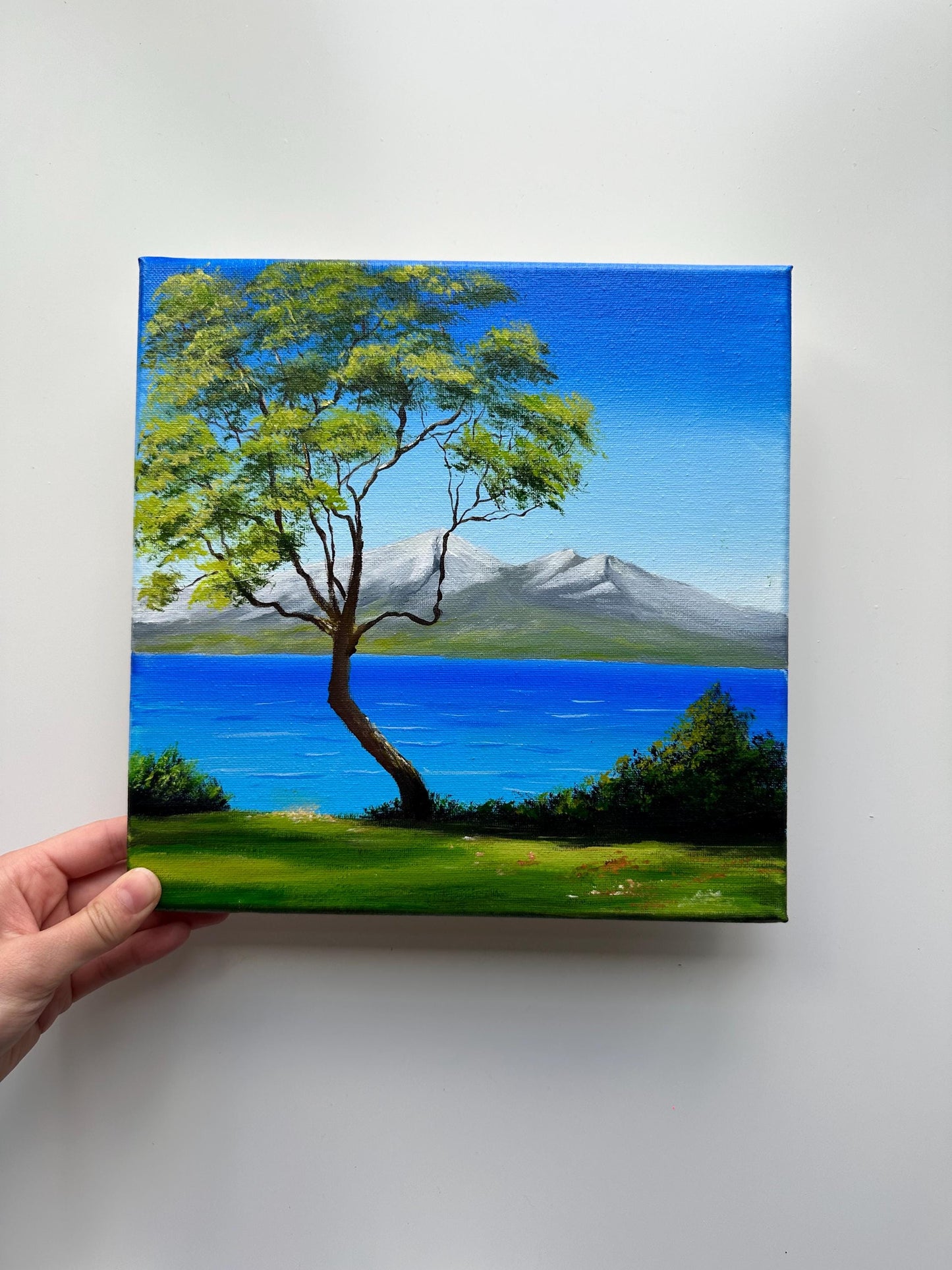 Coastal View with Tree – Original 10x10 Acrylic Seascape Painting